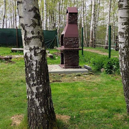 Cypla Czar Lägenhet Polańczyk Exteriör bild